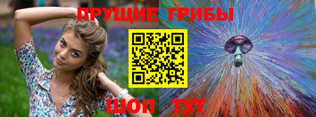 Кондопога  купить   Галлюциногенные грибы Psilocybe  Вход с VPN  Галлюциногенные грибы мицелий 