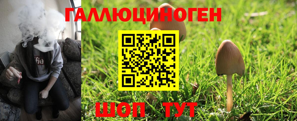 Галлюциногенные грибы ЛСД Кондопога
